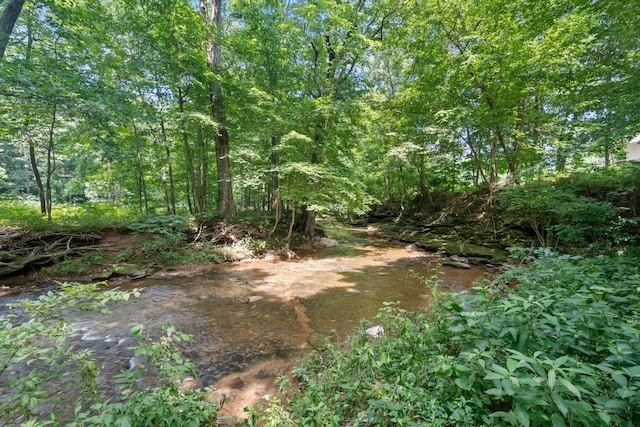 1036 Kaity Brooke Rd, Portland, TN 37148 - photo 43