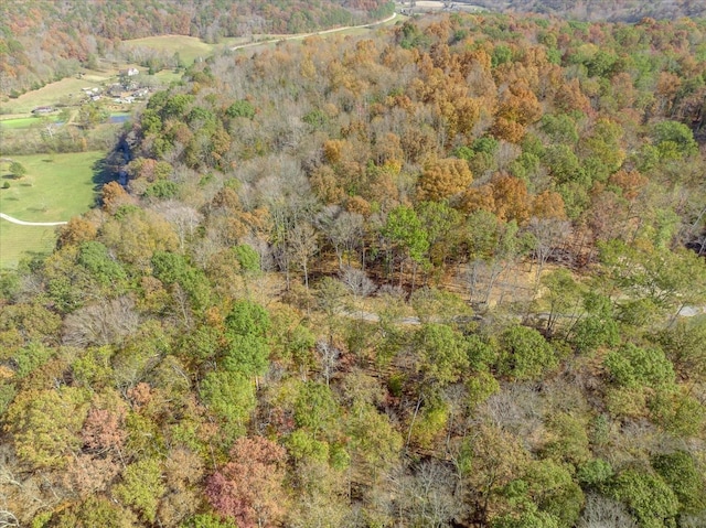 6065 Stone Cliff Ln, Franklin, TN 37064 - photo 1