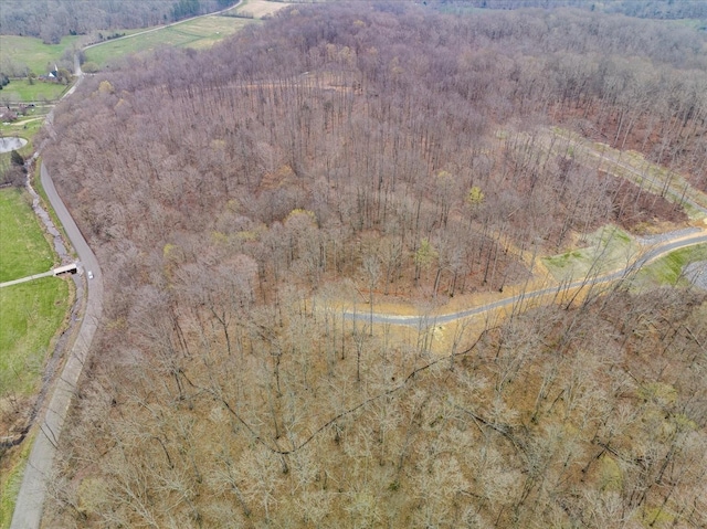 6065 Stone Cliff Ln, Franklin, TN 37064 - photo 4
