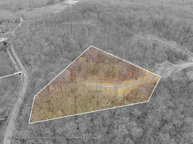 6065 Stone Cliff Ln, Franklin, TN 37064 - photo 9