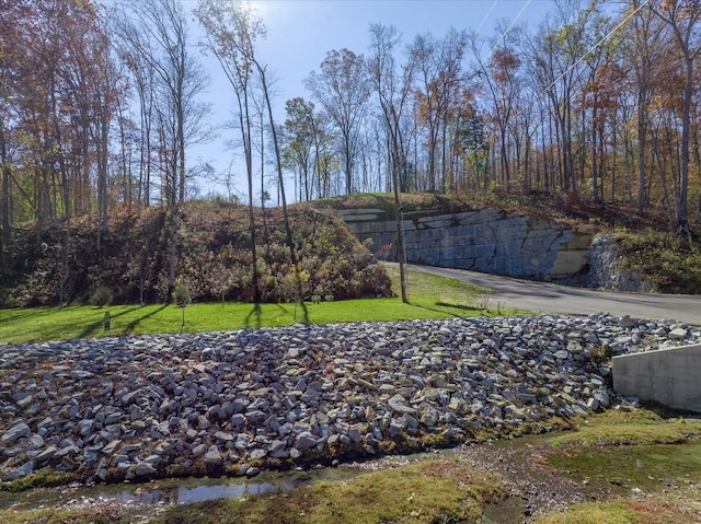 6065 Stone Cliff Ln, Franklin, TN 37064 - photo 5