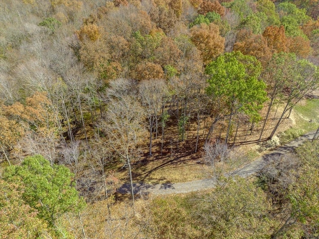 6065 Stone Cliff Ln, Franklin, TN 37064 - photo 2