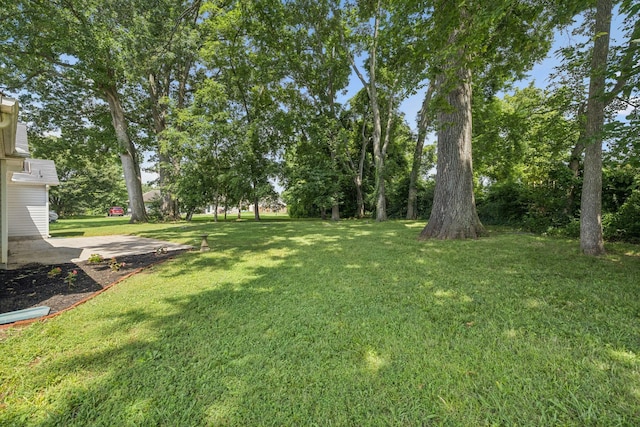 1005 Cedarstone Ct, Smyrna, TN 37167 - photo 29