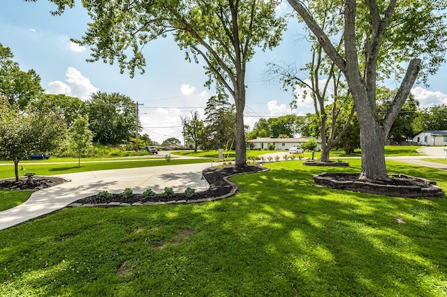 220 Sterling Rd, Hendersonville, TN 37075 - photo 13