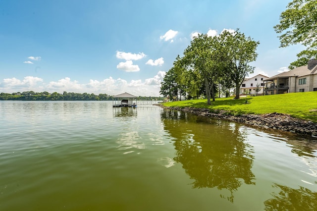 220 Sterling Rd, Hendersonville, TN 37075 - photo 80