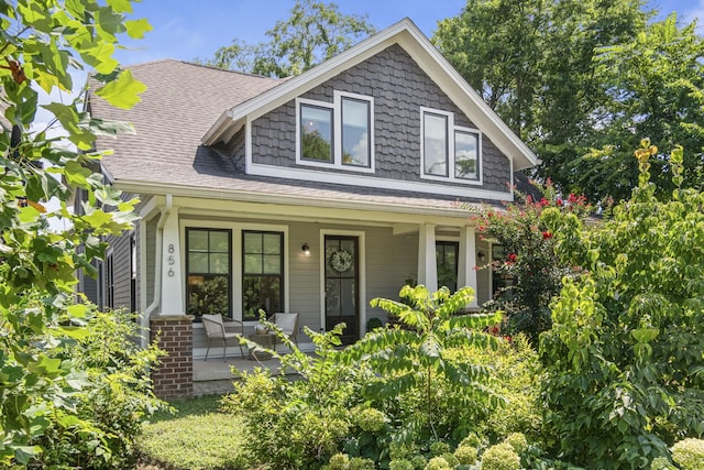 856 Seymour Ave, Nashville, TN 37206 - photo 4