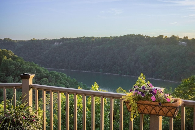 615 Watercolor Dr, Sparta, TN 38583 - photo 54