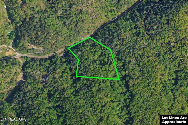4138 Richardson Cove Rd, Sevierville, TN 37862 - photo 14