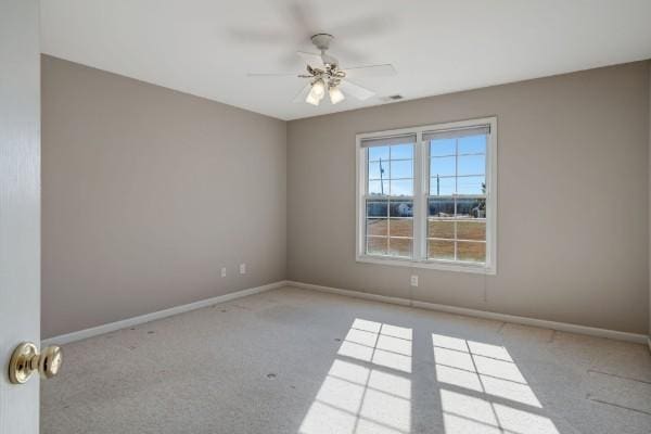5462 Drye Run Rd, Joelton, TN 37080 - photo 31