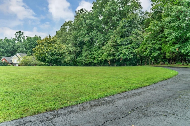 5462 Drye Run Rd, Joelton, TN 37080 - photo 3