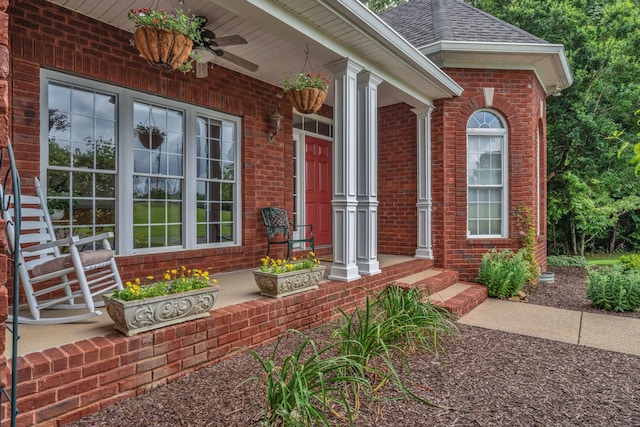 5462 Drye Run Rd, Joelton, TN 37080 - photo 9