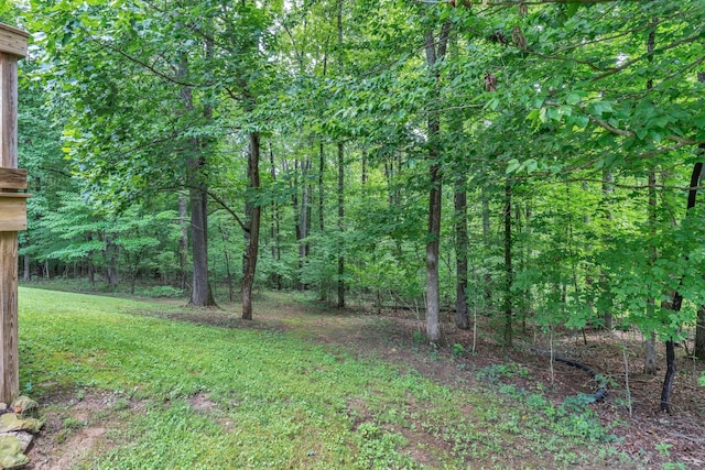 5462 Drye Run Rd, Joelton, TN 37080 - photo 53