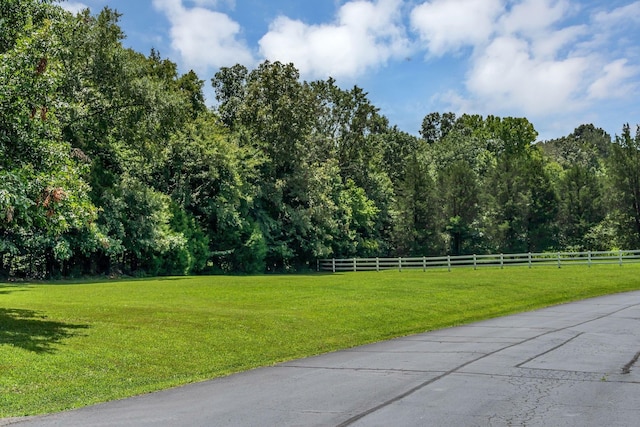 5462 Drye Run Rd, Joelton, TN 37080 - photo 59
