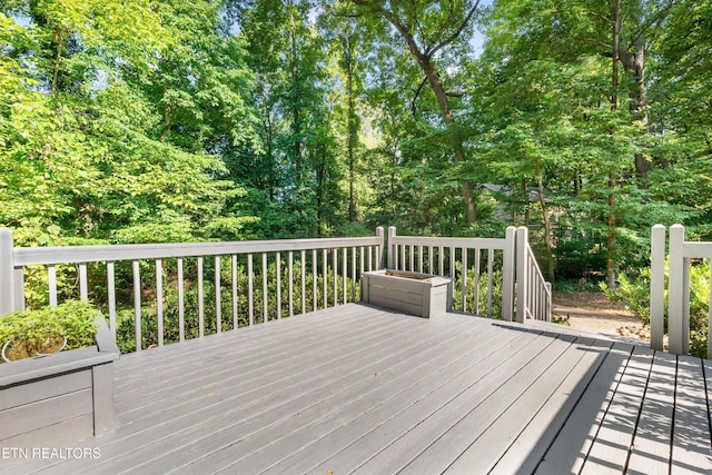 415 Moser Ln, Knoxville, TN 37934 - photo 46