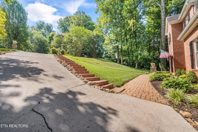 415 Moser Ln, Knoxville, TN 37934 - photo 5