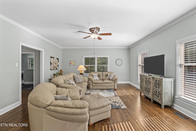 415 Moser Ln, Knoxville, TN 37934 - photo 21
