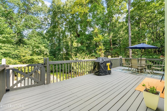 415 Moser Ln, Knoxville, TN 37934 - photo 43