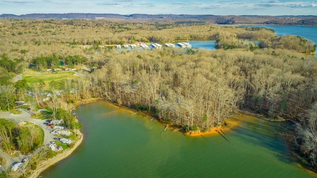 6253 River Stream Dr, Harrison, TN 37341 - photo 83