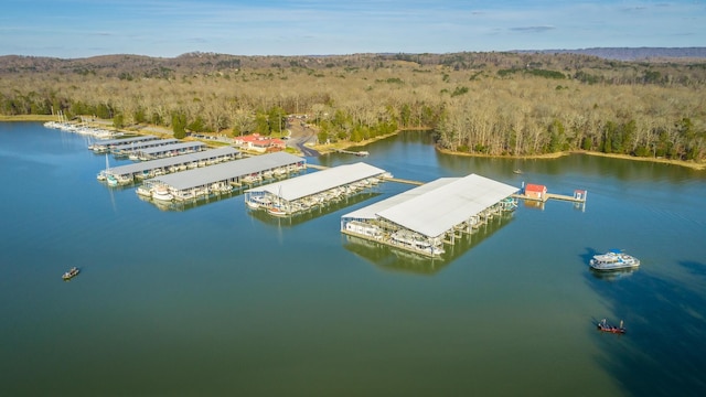 6253 River Stream Dr, Harrison, TN 37341 - photo 85