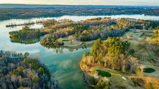 6253 River Stream Dr, Harrison, TN 37341 - photo 80