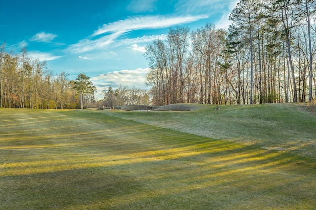 6253 River Stream Dr, Harrison, TN 37341 - photo 72