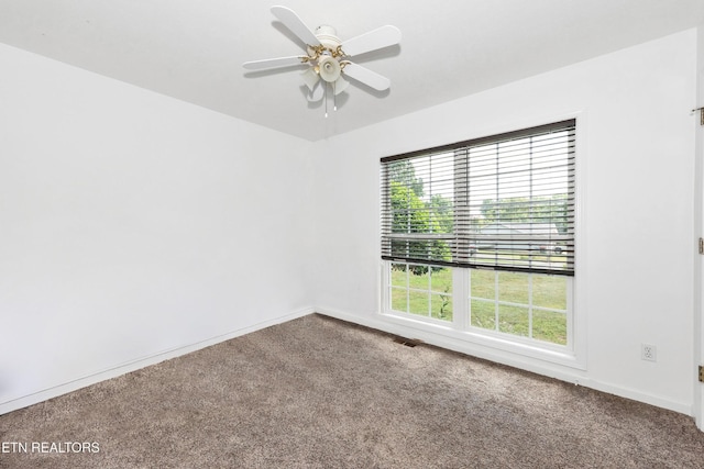 113 Muscovy Way, Maryville, TN 37801 - photo 20