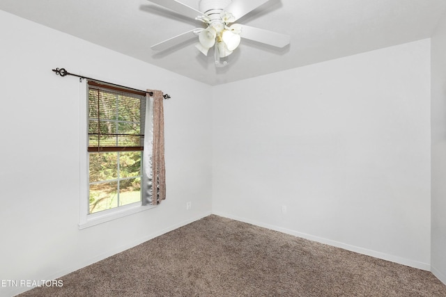 113 Muscovy Way, Maryville, TN 37801 - photo 22