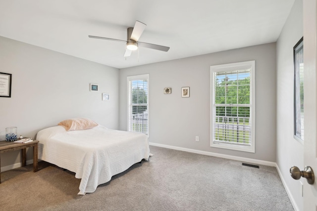 113 Dorman Dr, Columbia, TN 38401 - photo 35