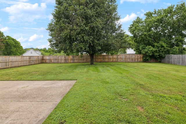 113 Dorman Dr, Columbia, TN 38401 - photo 49