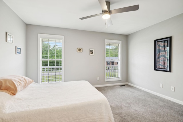 113 Dorman Dr, Columbia, TN 38401 - photo 38