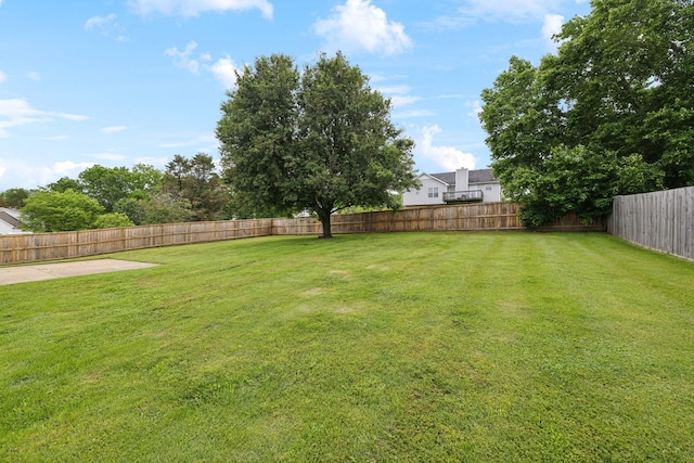 113 Dorman Dr, Columbia, TN 38401 - photo 50
