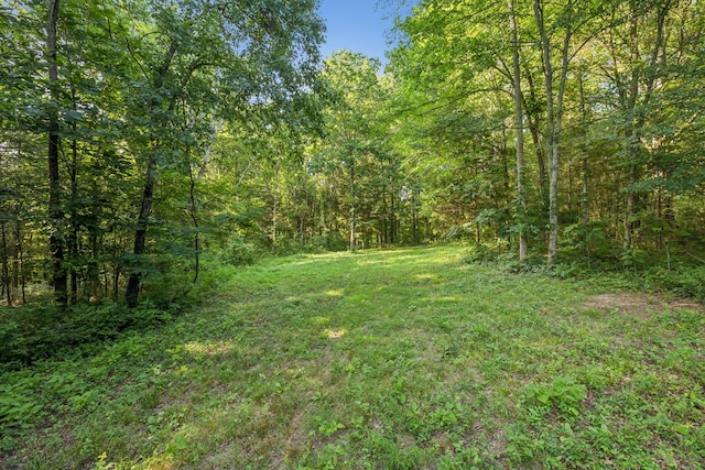 2650 Finley Ridge Ln, Nolensville, TN 37135 - photo 95
