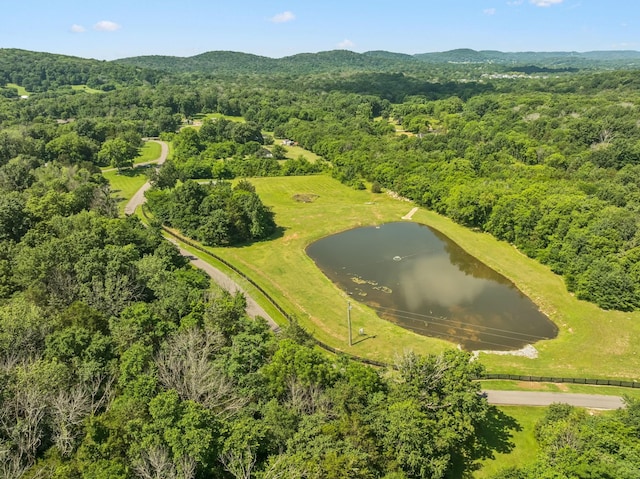 2650 Finley Ridge Ln, Nolensville, TN 37135 - photo 91