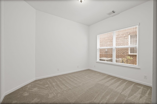 3007 Auld Tatty Dr, Spring Hill, TN 37174 - photo 21