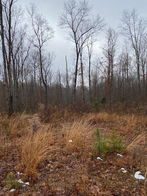5 Colony Rd, Gruetli Laager, TN 37339 - photo 1