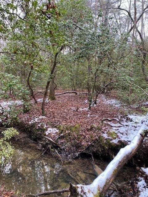 5 Colony Rd, Gruetli Laager, TN 37339 - photo 2