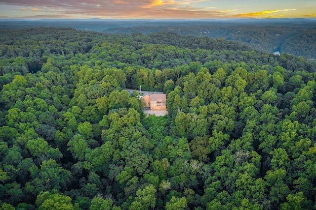 120 Sunset Pt, Sparta, TN 38583 - photo 46
