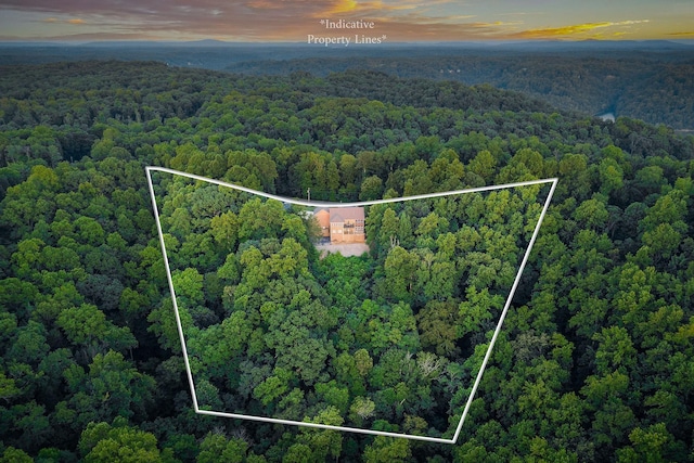 120 Sunset Pt, Sparta, TN 38583 - photo 4