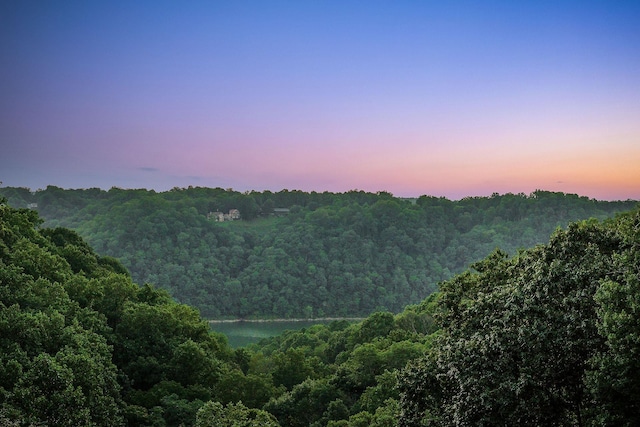 120 Sunset Pt, Sparta, TN 38583 - photo 63