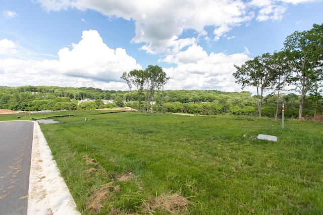 8749 Weller Ln, College Grove, TN 37046 - photo 2
