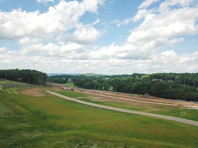8749 Weller Ln, College Grove, TN 37046 - photo 4