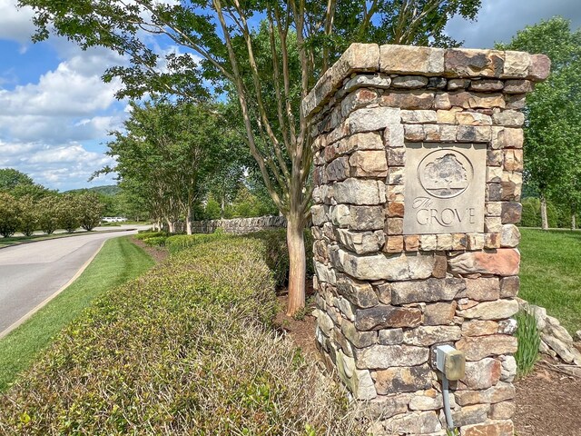 8749 Weller Ln, College Grove, TN 37046 - photo 7