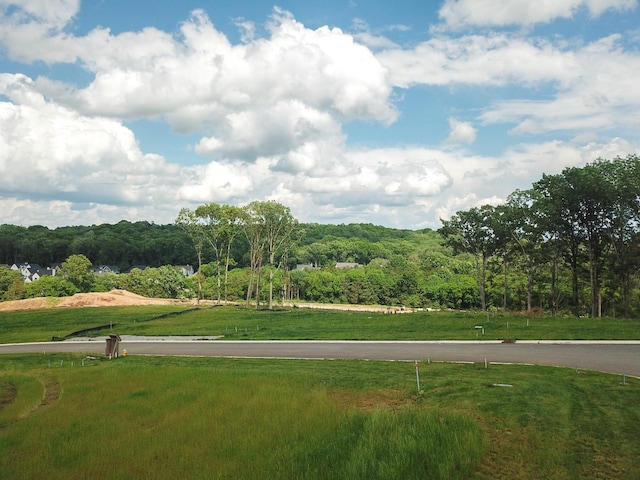 8749 Weller Ln, College Grove, TN 37046 - photo 3