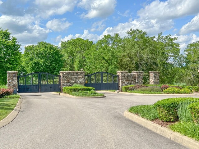 8749 Weller Ln, College Grove, TN 37046 - photo 6