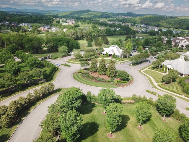 8749 Weller Ln, College Grove, TN 37046 - photo 9