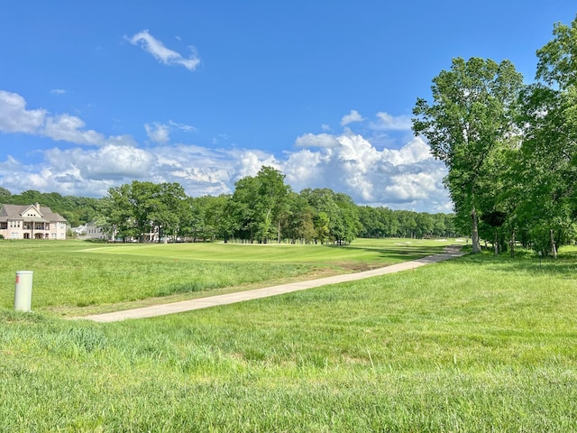 8749 Weller Ln, College Grove, TN 37046 - photo 15