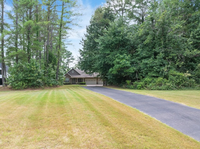 652 Strike King Dr, Cedar Grove, TN 38321 - photo 3