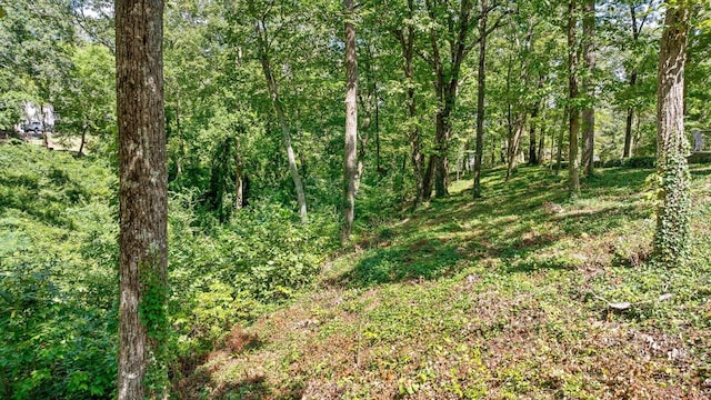 891 Fleetwood Dr, Lookout Mountain, TN 37350 - photo 24
