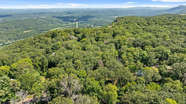 891 Fleetwood Dr, Lookout Mountain, TN 37350 - photo 16