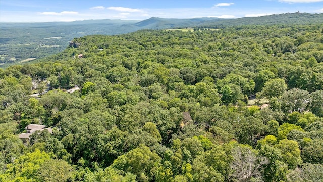 891 Fleetwood Dr, Lookout Mountain, TN 37350 - photo 17